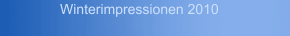 Winterimpressionen 2010