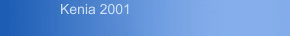 Kenia 2001